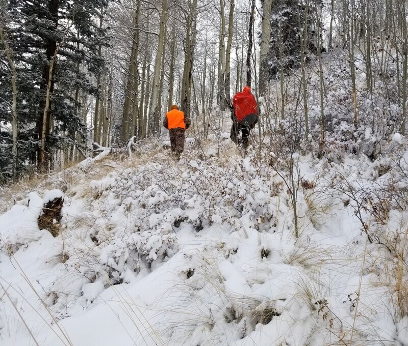 Safety in the Outdoors