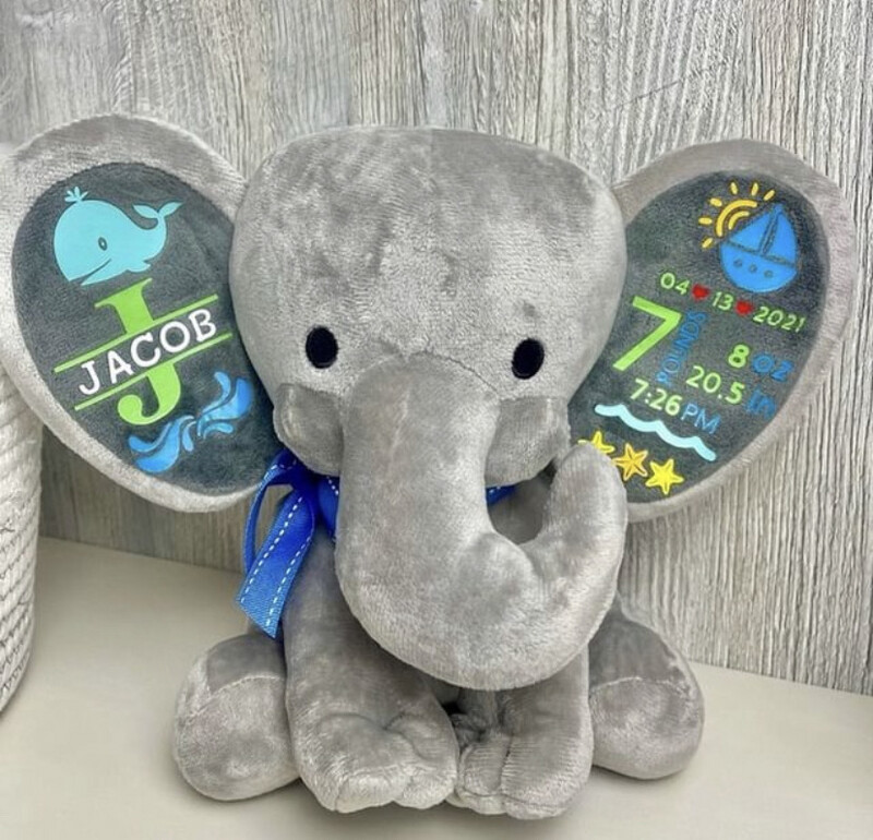 Whale Birth Stats Teddy