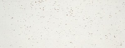 CERAM. GOLDSTONE SNOW 35X90