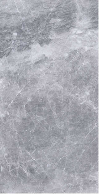 PETRA GRAY 30X60