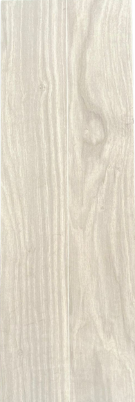 PISO PARED FOREST ASH 20X60