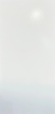 PARED LISO BLANCO BRILLO 30X60