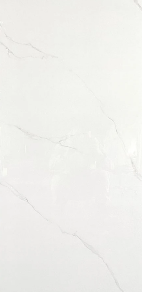 GLAZED PORCELAIN TILES SUPER WHITE 60X120 CON F