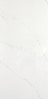 GLAZED PORCELAIN TILES SUPER WHITE 60X120 CON F