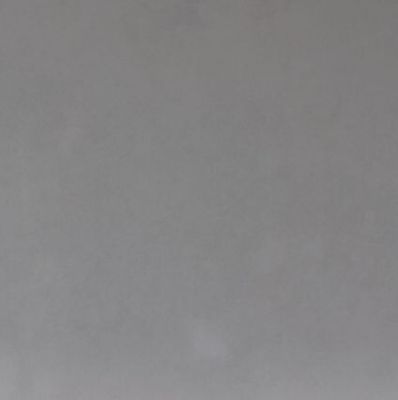 PORC. PALERMO RCE 50X50