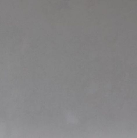 PORC. PALERMO RCE 50X50