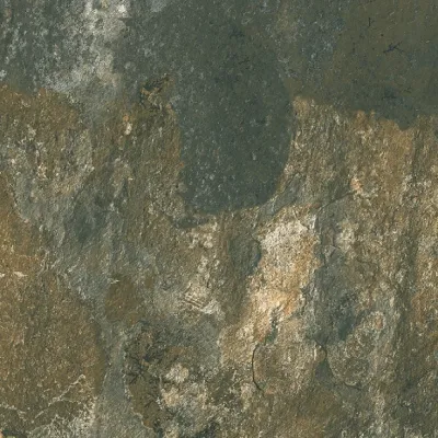 PORC. ESS. ADZ. NERVA MUSGO 608X608