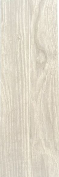 PISO PARED FOREST ASH 20X60