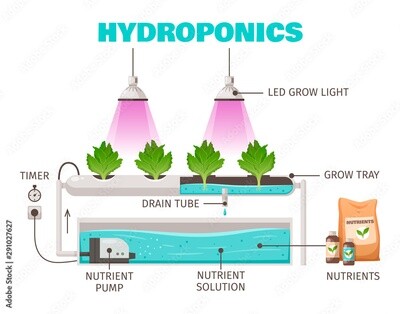 HYDROPONIE