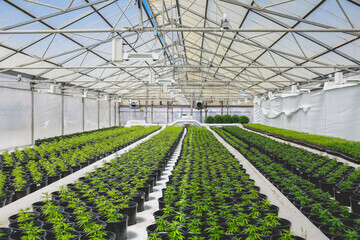 GREENHOUSE