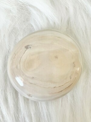 The Woman Ocean Jasper