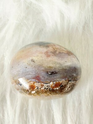 Coral Beach Ocean Jasper