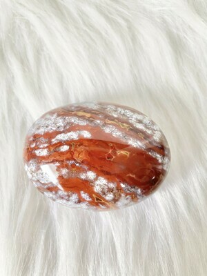 Ketchup Ocean Jasper