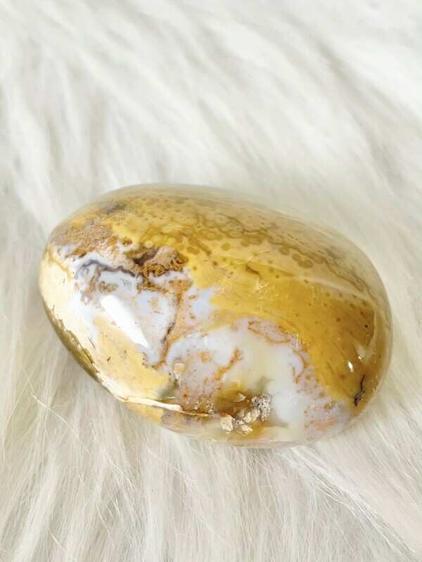 Egg Yolk Ocean Jasper