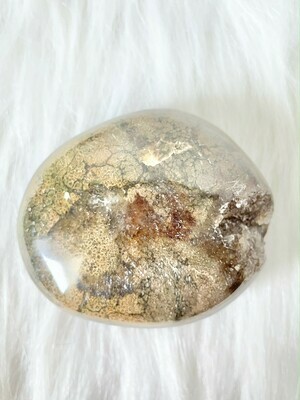 The Stonefish Ocean Jasper