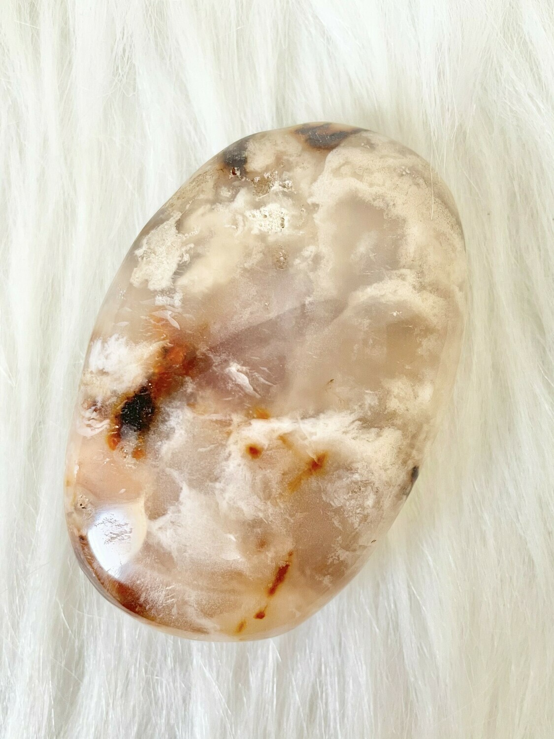 Queen's Bed Flower Agate Palm