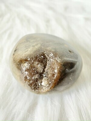 The Stonefish Ocean Jasper