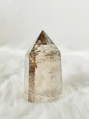 Smoky Quartz with Lodolite