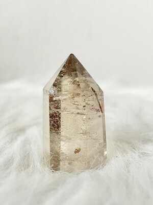 Smoky Quartz with Lodolite