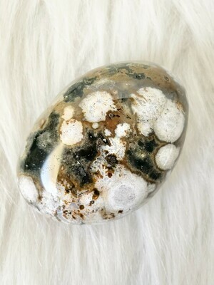 Storks on Land Ocean Jasper