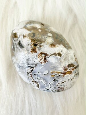 Storks on Land Ocean Jasper
