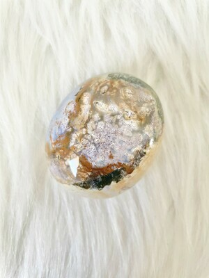 Forest of Life Ocean Jasper