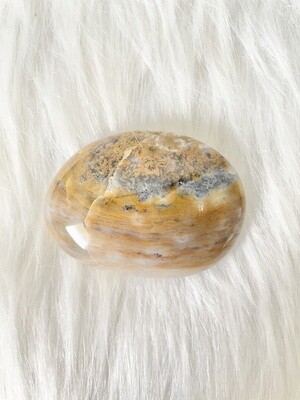 Sandy Beach Ocean Jasper