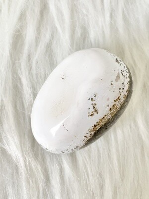 Blanc Ocean Jasper