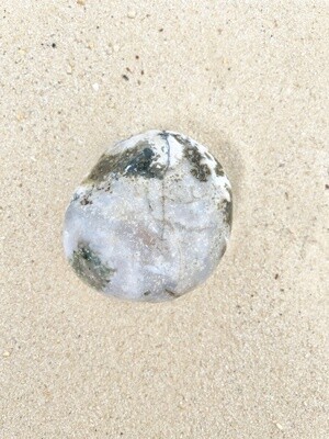 Hermit Crab Ocean Jasper