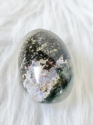 Forest Clearing Ocean Jasper