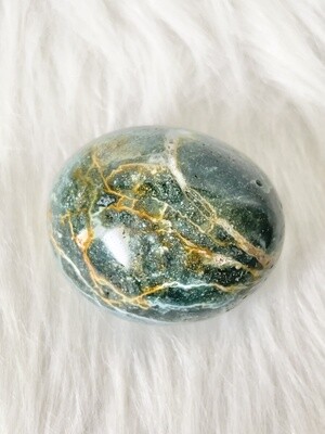 Yoda&#39;s Garden Ocean Jasper