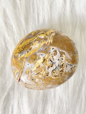 Mountain Nutrients Ocean Jasper
