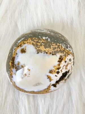 Wild Ocean Jasper 3