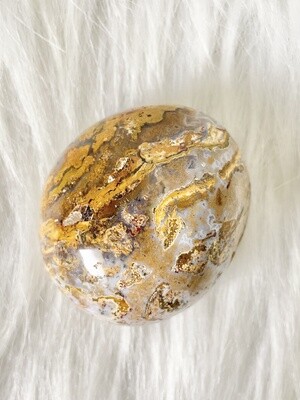 Mountain Nutrients Ocean Jasper