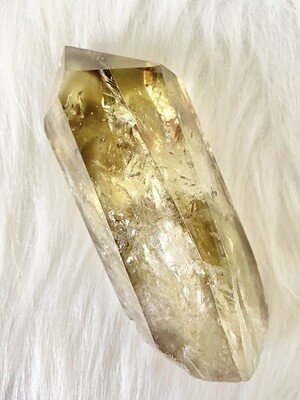 Olive Rainbow S Citrine