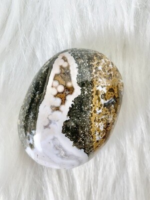 Wild Ocean Jasper 1