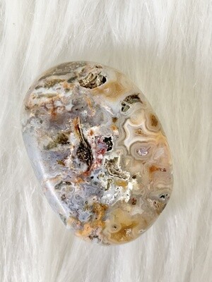 Lily Ocean Jasper