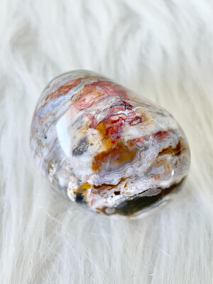 Diamond World Ocean Jasper