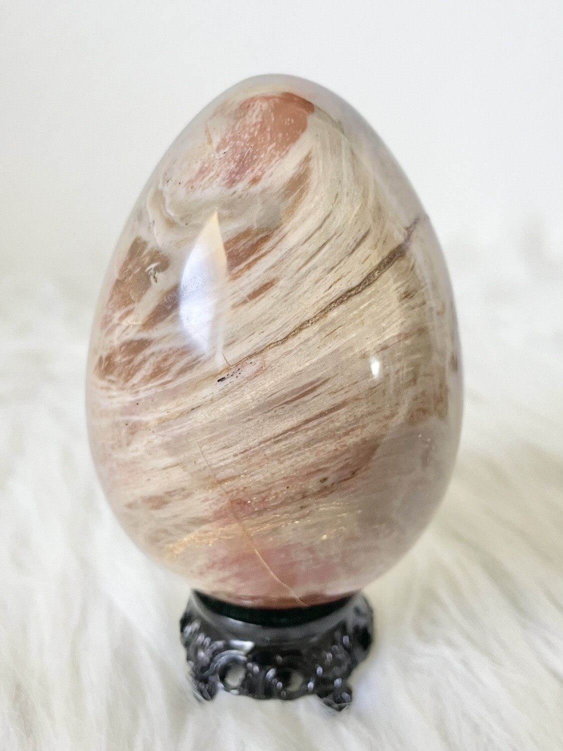Camouflaged Petrified Wood Egg
