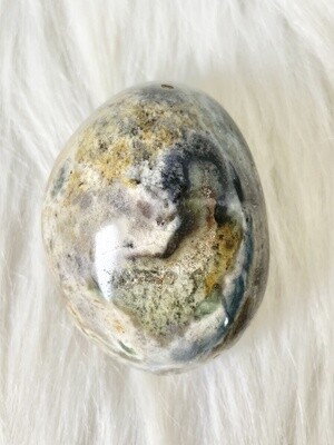 Cove Ocean Jasper