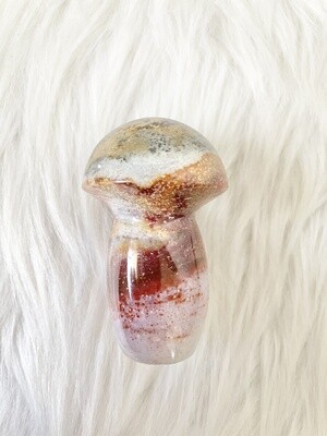 Portobello Ocean Jasper Mushroom
