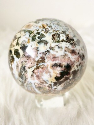 A Whole New World Ocean Jasper