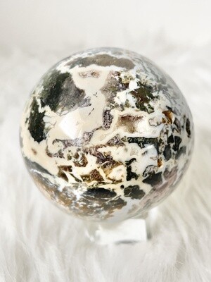 A Whole New World Ocean Jasper
