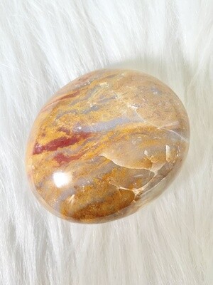 Sand Dunes Ocean Jasper