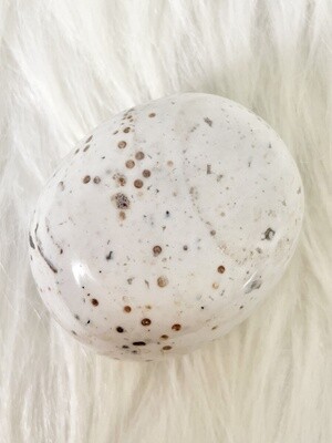 Speckled Egg Ocean Jasper