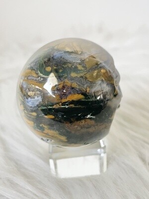 Night Safari Ocean Jasper