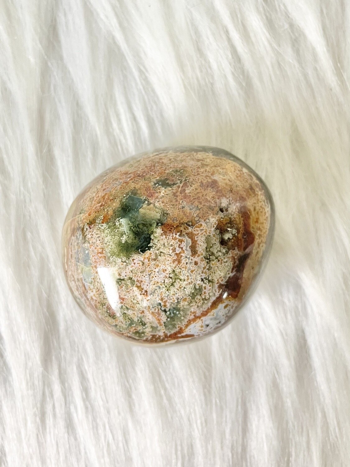 Mangrove Swamp Ocean Jasper Palmstone