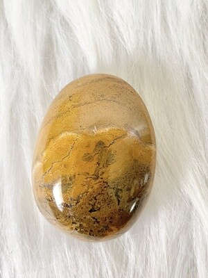 Loving Thy Land Ocean Jasper Palmstone