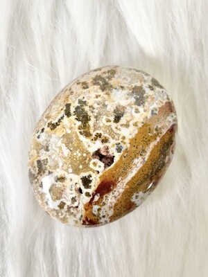 Pumpkin Season Ocean Jasper Palmstone
