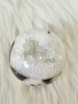 Tiger Mouth Tiger Dendritic Druzy Sphere